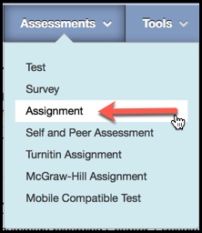 Image of Assignment link location on main navigation menu in Blackboard.